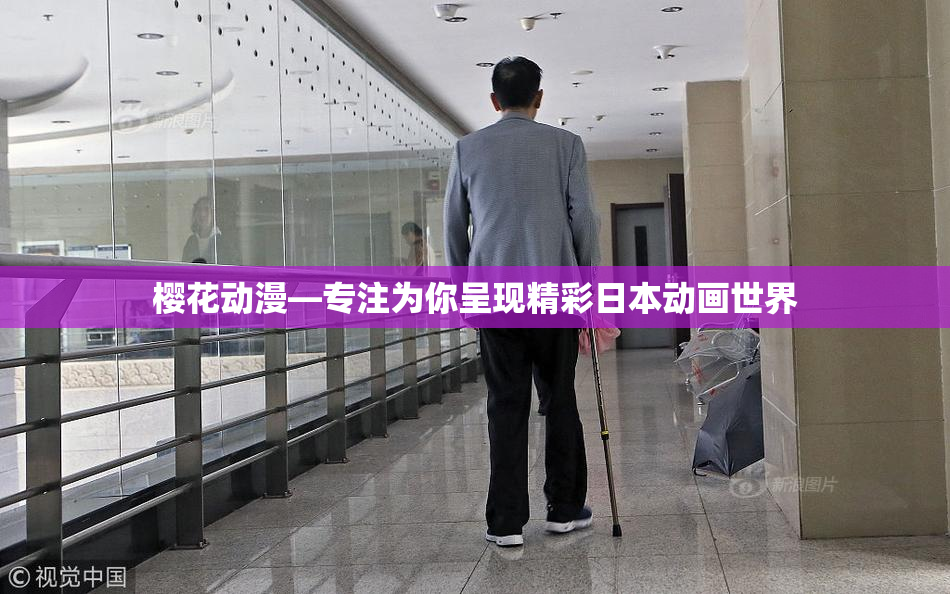 樱花动漫—专注为你呈现精彩日本动画世界