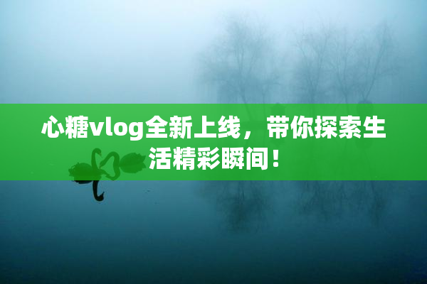 心糖vlog全新上线，带你探索生活精彩瞬间！