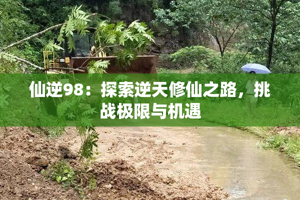 仙逆98：探索逆天修仙之路，挑战极限与机遇