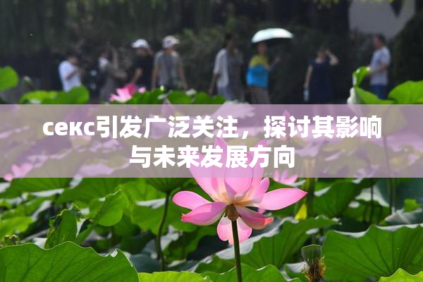 ceкс引发广泛关注，探讨其影响与未来发展方向