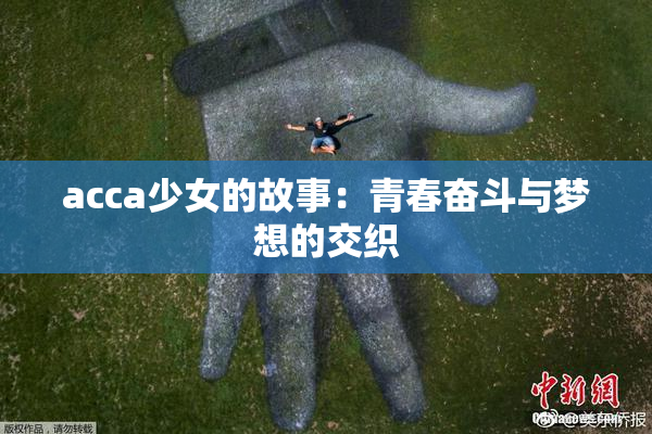 acca少女的故事：青春奋斗与梦想的交织