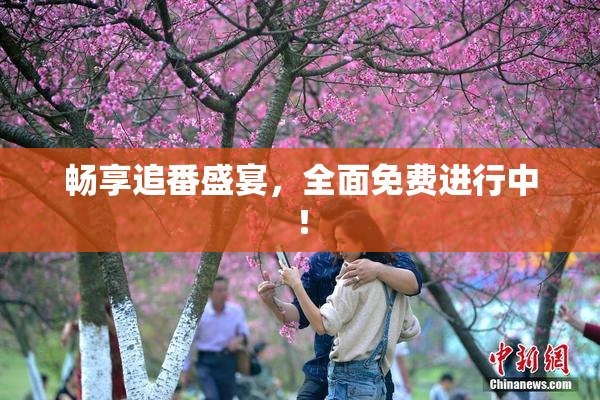 畅享追番盛宴，全面免费进行中！