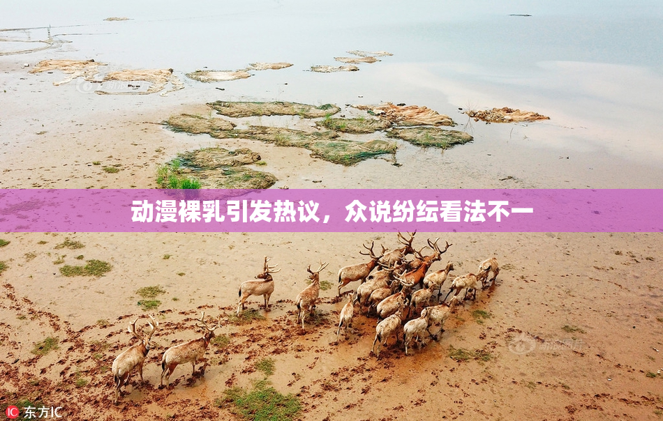 动漫裸乳引发热议，众说纷纭看法不一