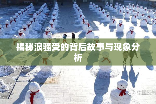 揭秘浪骚受的背后故事与现象分析