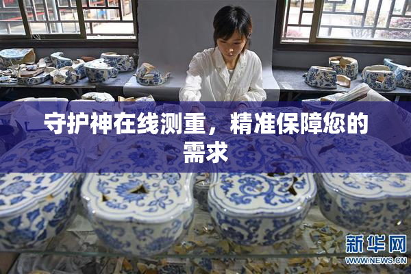 守护神在线测重，精准保障您的需求