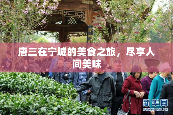 唐三在宁城的美食之旅，尽享人间美味