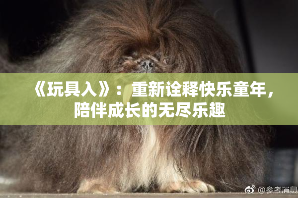 《玩具入》：重新诠释快乐童年，陪伴成长的无尽乐趣