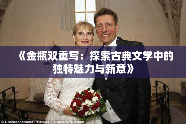 《金瓶双重写：探索古典文学中的独特魅力与新意》