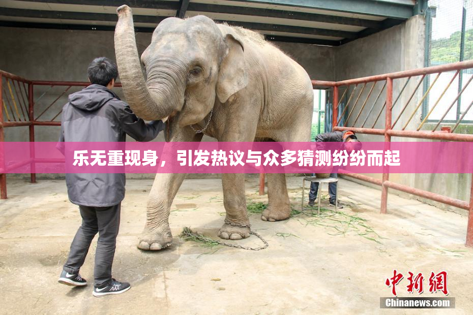 乐无重现身，引发热议与众多猜测纷纷而起