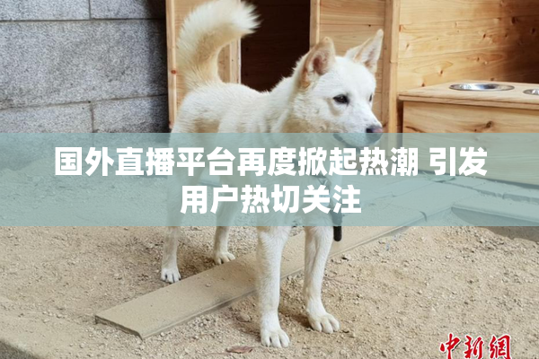 国外直播平台再度掀起热潮 引发用户热切关注