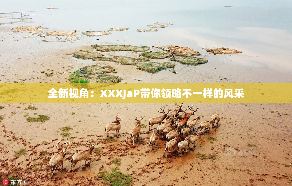 全新视角：XXXJaP带你领略不一样的风采