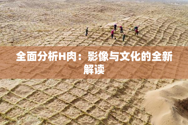 全面分析H肉：影像与文化的全新解读