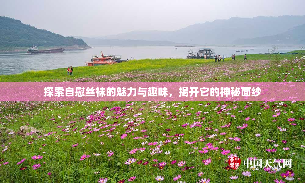 探索自慰丝袜的魅力与趣味，揭开它的神秘面纱