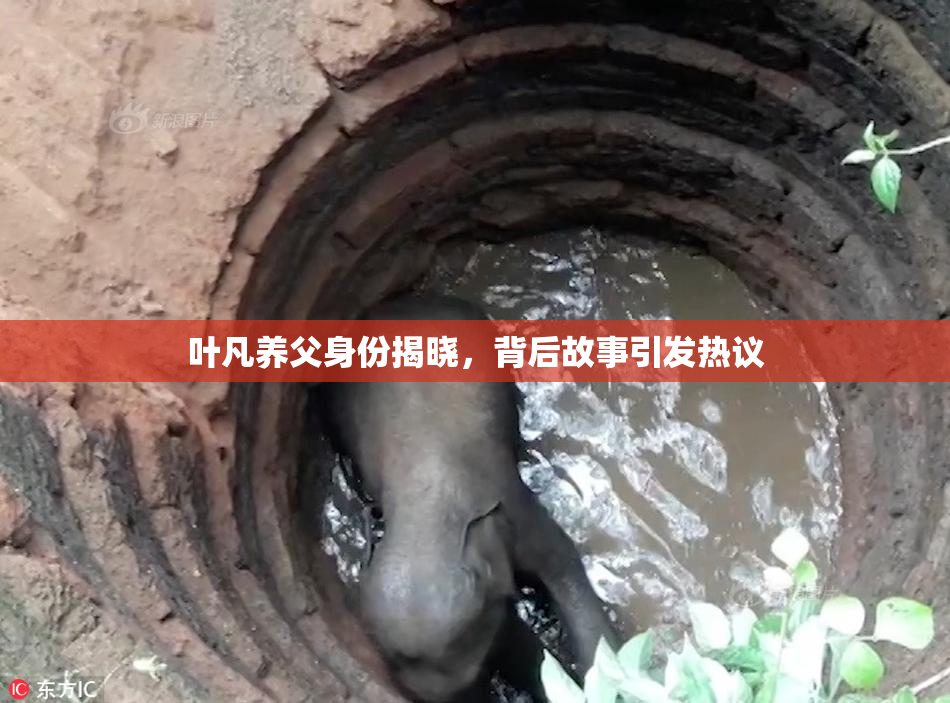 叶凡养父身份揭晓，背后故事引发热议