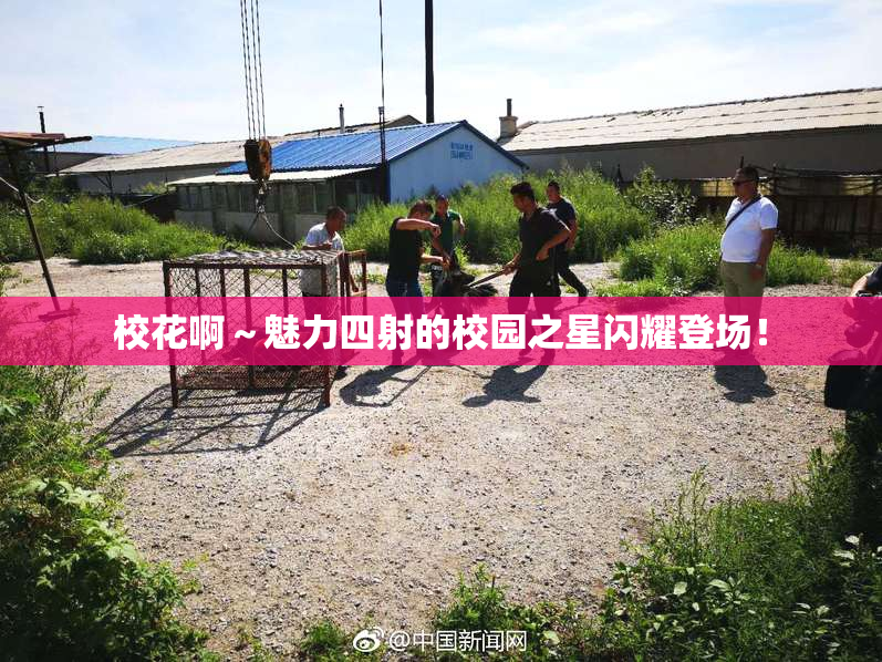 校花啊～魅力四射的校园之星闪耀登场！
