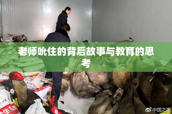 老师吮住的背后故事与教育的思考