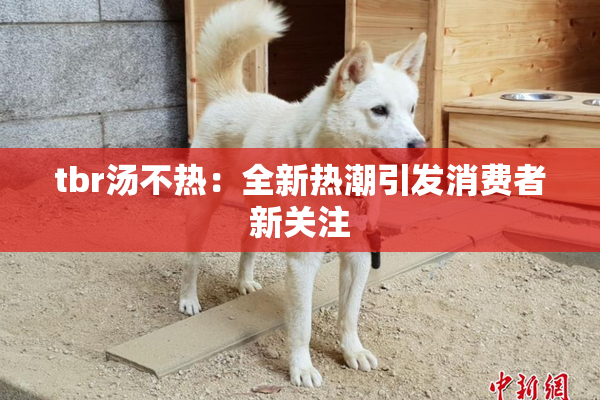 tbr汤不热：全新热潮引发消费者新关注