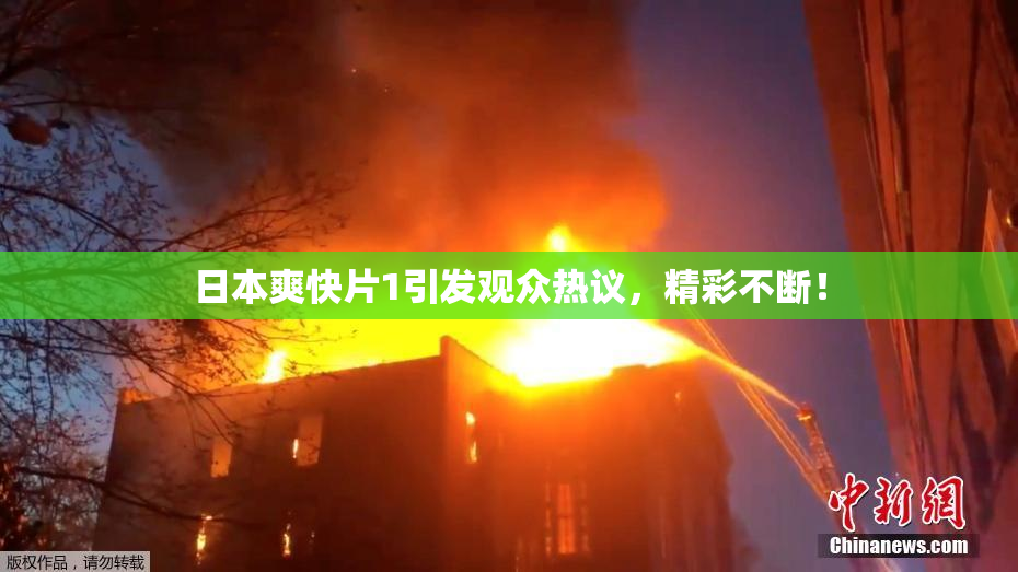 日本爽快片1引发观众热议，精彩不断！