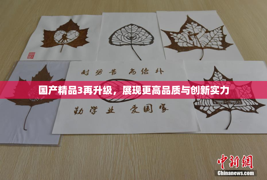 国产精品3再升级，展现更高品质与创新实力