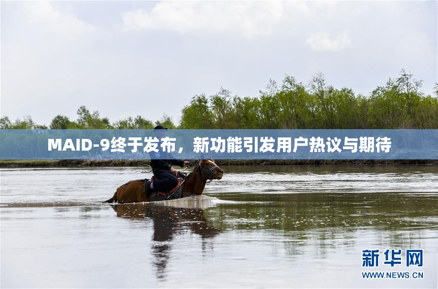 MAID-9终于发布，新功能引发用户热议与期待