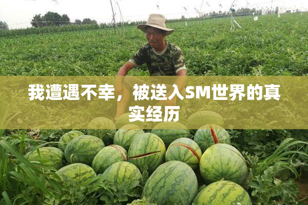 我遭遇不幸，被送入SM世界的真实经历