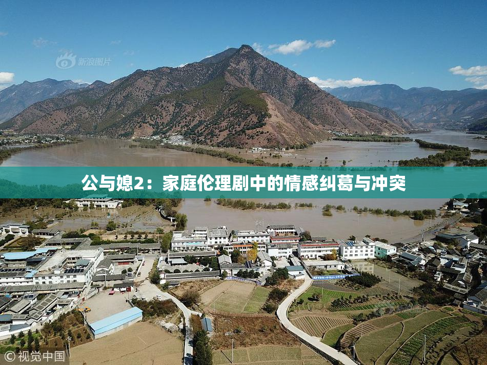 公与媳2：家庭伦理剧中的情感纠葛与冲突