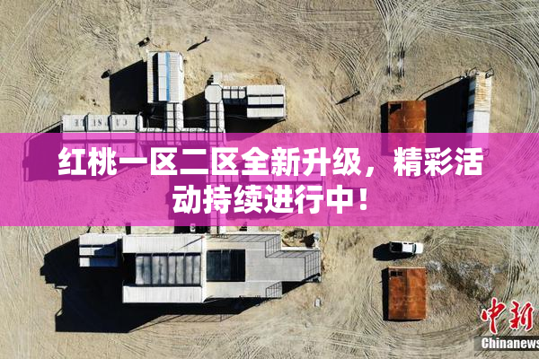 红桃一区二区全新升级，精彩活动持续进行中！