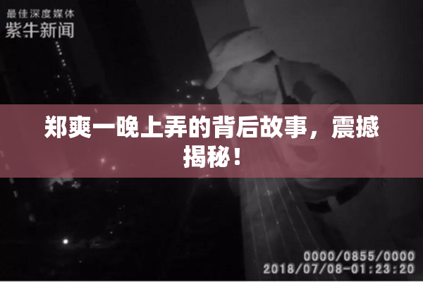 郑爽一晚上弄的背后故事，震撼揭秘！