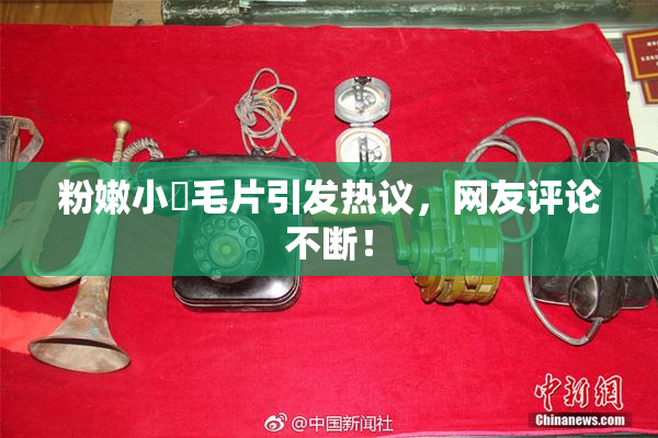粉嫩小泬毛片引发热议，网友评论不断！