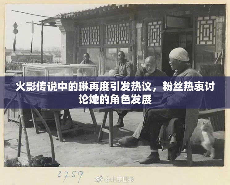 火影传说中的琳再度引发热议，粉丝热衷讨论她的角色发展