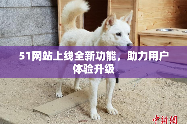 51网站上线全新功能，助力用户体验升级