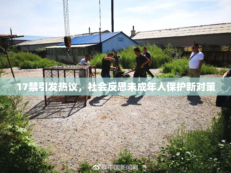 17禁引发热议，社会反思未成年人保护新对策