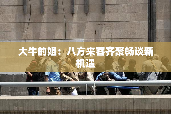 大牛的姐：八方来客齐聚畅谈新机遇