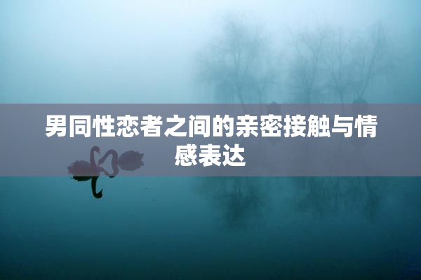 男同性恋者之间的亲密接触与情感表达