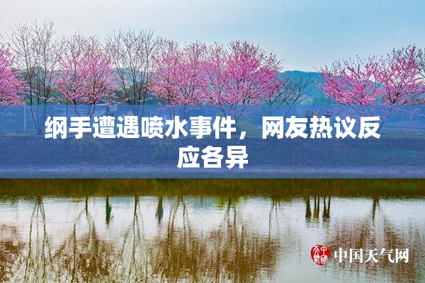 纲手遭遇喷水事件，网友热议反应各异