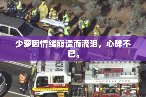 少萝因情绪崩溃而流泪，心碎不已。