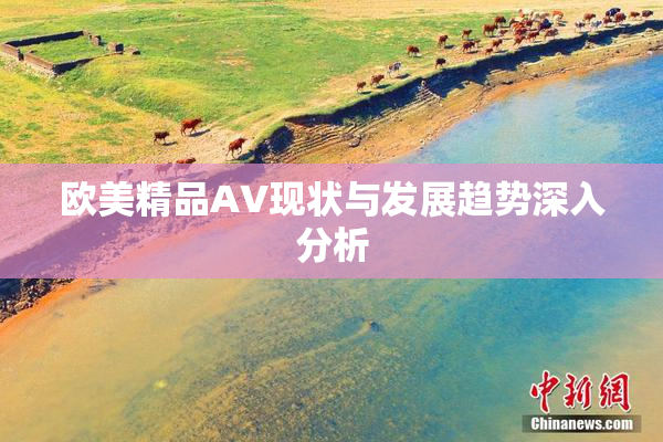 欧美精品AV现状与发展趋势深入分析