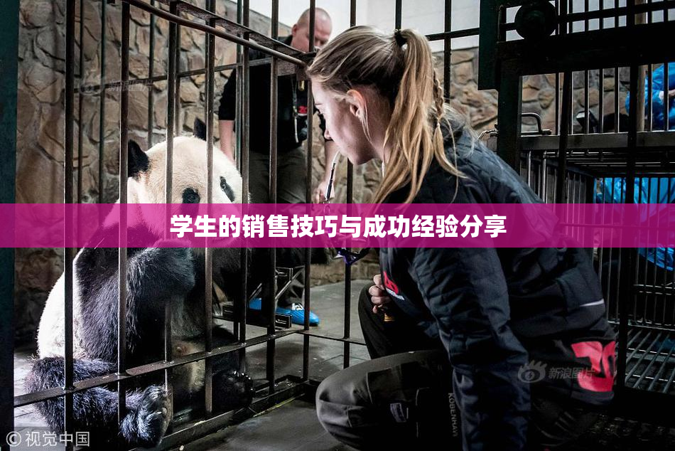 学生的销售技巧与成功经验分享