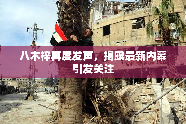 八木梓再度发声，揭露最新内幕引发关注