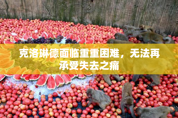 克洛琳德面临重重困难，无法再承受失去之痛