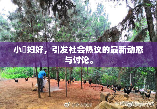 小婬妇好，引发社会热议的最新动态与讨论。
