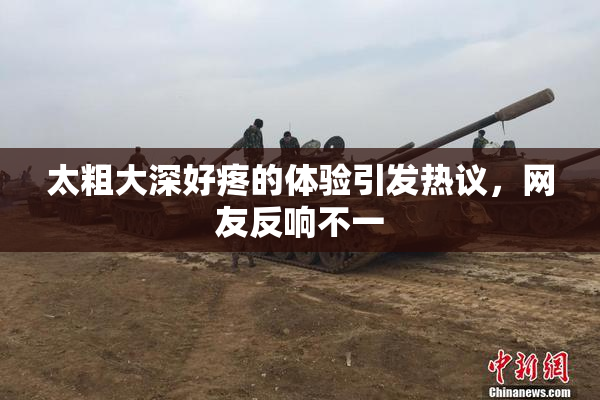 太粗大深好疼的体验引发热议，网友反响不一