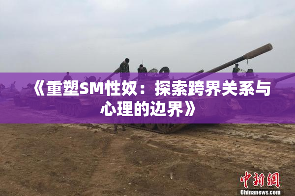 《重塑SM性奴：探索跨界关系与心理的边界》