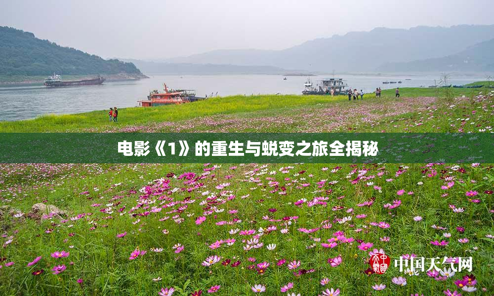 电影《1》的重生与蜕变之旅全揭秘