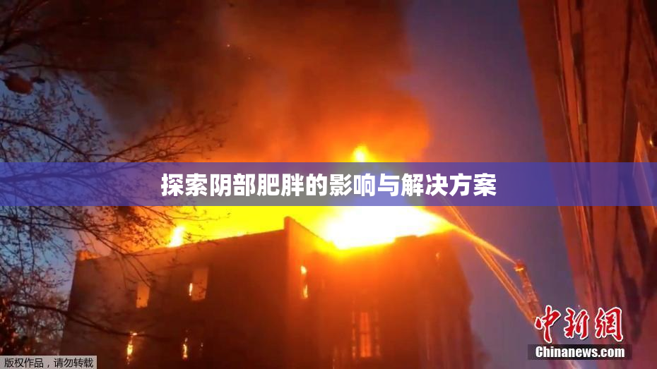 探索阴部肥胖的影响与解决方案