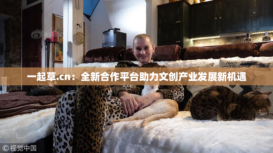 一起草.cn：全新合作平台助力文创产业发展新机遇