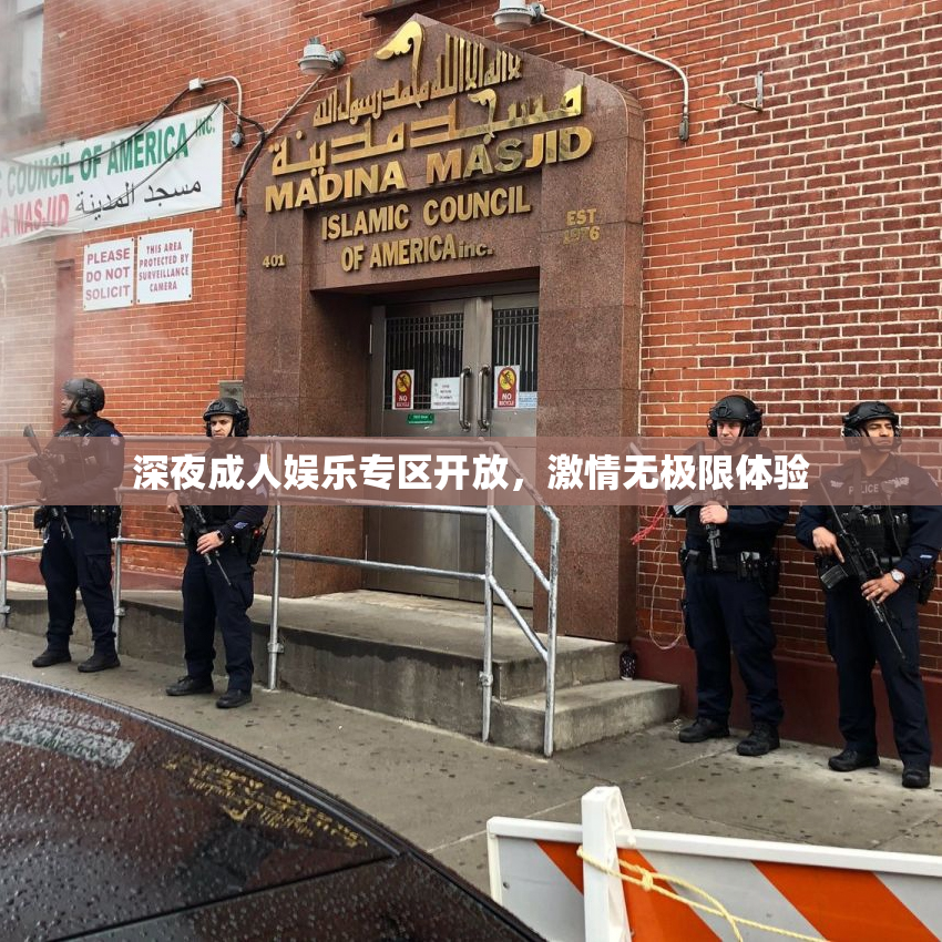 深夜成人娱乐专区开放，激情无极限体验