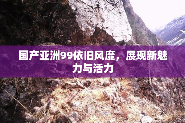 国产亚洲99依旧风靡，展现新魅力与活力