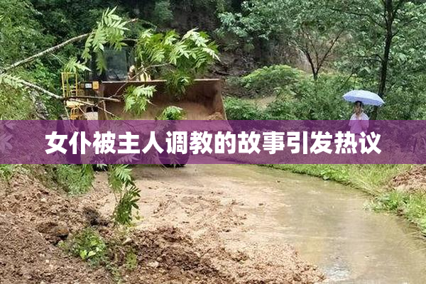 女仆被主人调教的故事引发热议