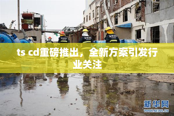 ts cd重磅推出，全新方案引发行业关注